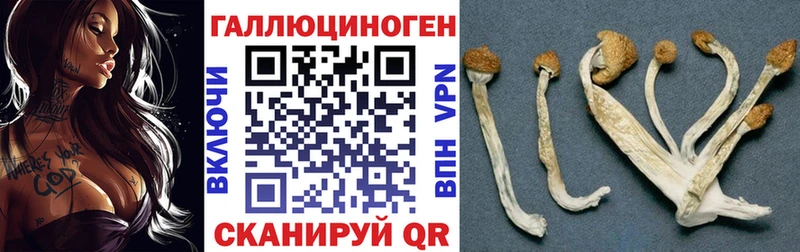Псилоцибиновые грибы прущие грибы  цена наркотик  Дзержинский 